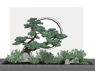 Modern Pine Landscape Plants 3d model