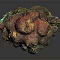 Brightly Colored Coral With Porous Textured Surface In Marine Aquatic Environment