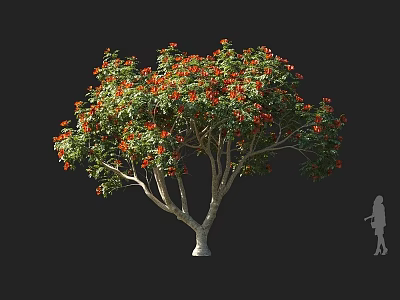 Arbor with Red Flowers Green Leaves and White Trunk and Human Figure for Scale 3d model