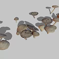 Multiple Brown Mushrooms Displaying Various Sizes And Natural Cap Stem Structures 3d model