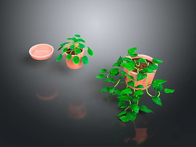 Pothos Plants in Terracotta Pots with Long Green Vines and Lush Leaves 3d model