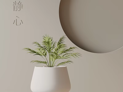 Bonsai Plant with Green Foliage in White Pot on Beige Background with Round Decor Home 3d model