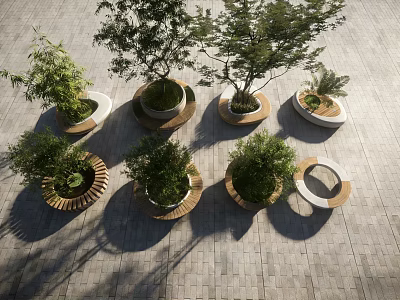 Circular Outdoor Tree Planters With Wooden Frames And Green Trees On Brick Pavement 3d model