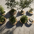 Circular Outdoor Tree Planters With Wooden Frames And Green Trees On Brick Pavement