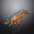 Fresh Raw Shrimp With Orange Red Shell And Long Antenna On Dark Background