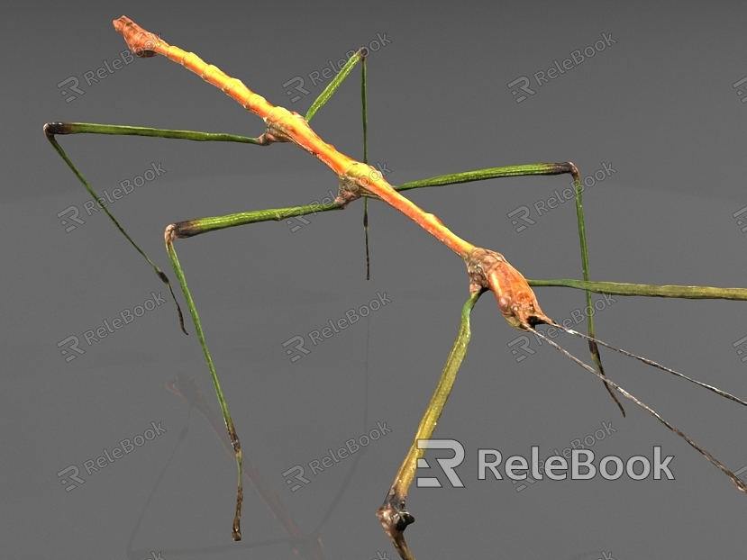 Stick insect model