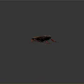 Detailed Cockroach With Orange Black Patterns And Red Legs On Dark Background