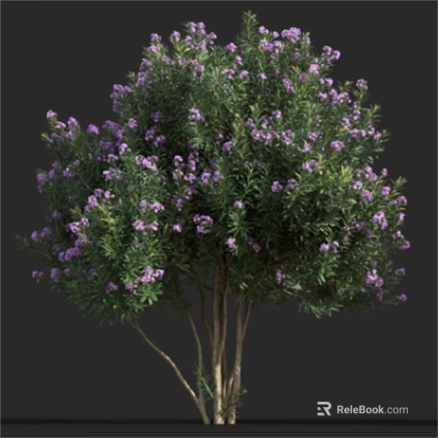 Lush Bush with Purple Flowers in Full Bloom Green Leaves and Multiple Trunks 3d model 