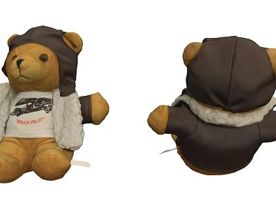Cute Teddy Bear Doll With Brown Hat White T-shirt Racing Team Print Gray Furry Vest 3d model