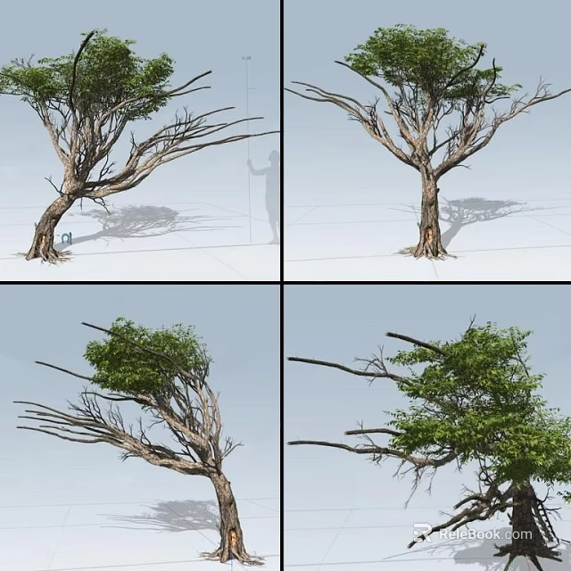 Tall Arbor Tree With Green Foliage Twisted Branches And Natural Shadows 3d model 