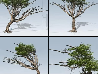 Tall Arbor Tree With Green Foliage Twisted Branches And Natural Shadows 3d model