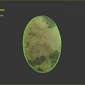 Oval Shaped Natural Stone Featuring Yellow Red And Purple Color Patterns