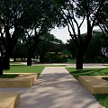 Garden Landscape Design With Tall Trees Green Lawn And Stone Pathway