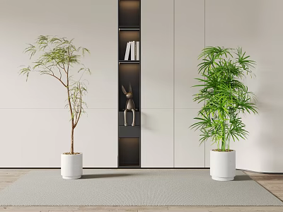 Stylish Bonsai Potted Plants In White Planters For Modern Indoor Home Decor 3d model