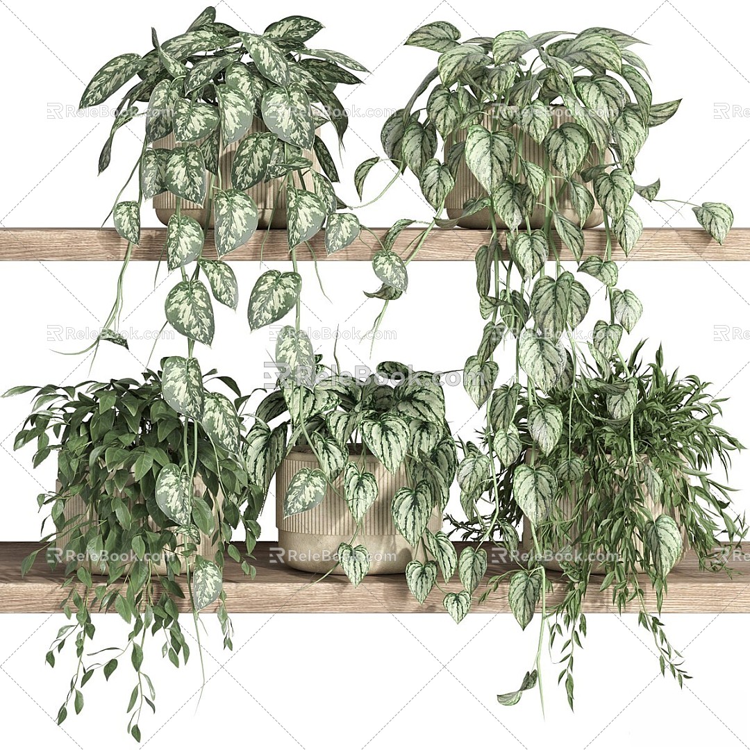 Plants on the shelf 22 3d model