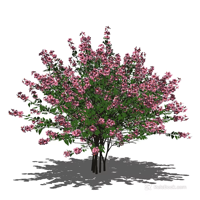 Lush Blooming Shrub With Pink Flowers And Green Leaves In Natural Garden 3d model 