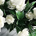 Transparent Spherical Vase with White Flowers and Green Leaves on White Tabletop against Black Background