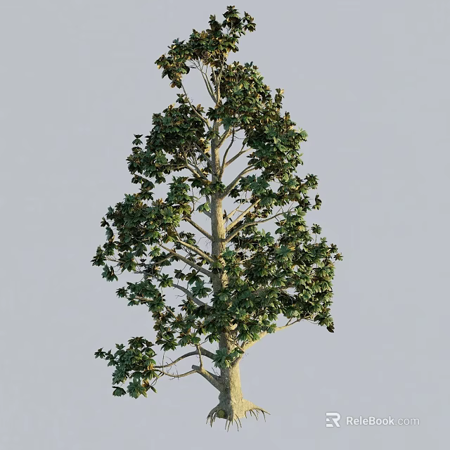 Tall Arbor With Lush Green Leaves Straight Trunk And Natural Growth 3d model 
