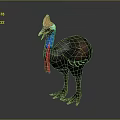 Cassowary With Blue Neck Red Wattle And Brown Feathers In Standing Posture Against Dark Background