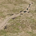 Military Utility Vehicles Featuring Tank And Armored Car In Open Terrain With Rocks And Grass