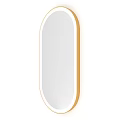 Modern Elegant Oval Mirror with Gold Frame Wall Mounted for Home Decor 3d model
