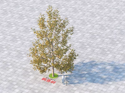 Deciduous Arbor with Yellow Leaves on Green Lawn and Gray Paving Ground 3d model
