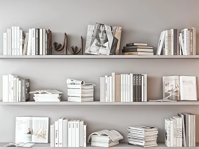 Neatly Arranged Books and Magazines on Light Gray Wall Bookshelves 3d model