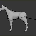 White Horse With Black Harness And Reins Standing On Smooth Surface With Dark Background Reflection