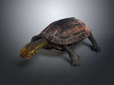 Realistic Turtle with Brown Textured Shell Yellow Head and Clawed Limbs on Gray Background 3d model