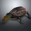 Realistic Turtle with Brown Textured Shell Yellow Head and Clawed Limbs on Gray Background