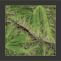 3D Green Vegetation Covered Terrain Model With Rolling Hills And Detailed Landforms