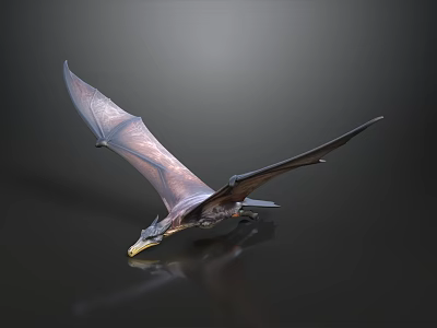 Flying Pterosaur Model With Spread Wings On Dark Background And Reflection 3d model