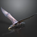 Flying Pterosaur Model With Spread Wings On Dark Background And Reflection
