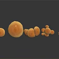 Fresh Orange Mushrooms of Various Sizes on Black Background With Reflections