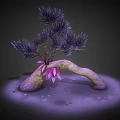 Purple Needle Leaf Plant Growing On Curved Rock Structure With Pink Flowers Dark Background Reflective