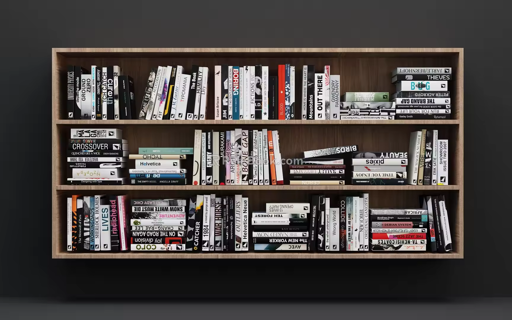 Modern Bookshelf 3d model