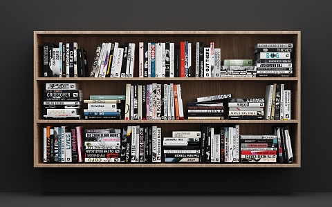 Modern Bookshelf 3d model