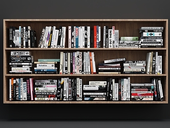 Modern Bookshelf 3d model