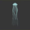 Blue Green Jellyfish With Long Tentacles Against Gradient Gray To Black Background