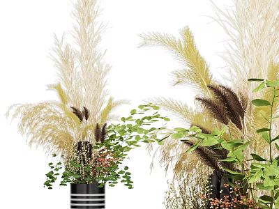 Elegant Vase With Pampas Grass Green Leaf Plants And Small Flowers Decor 3d model