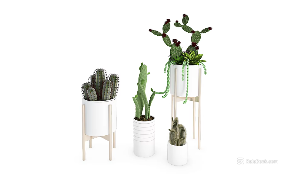 Stylish Bonsai Potted Plants with Various Cactus Types in White Pots and Wooden Stands 3d model 