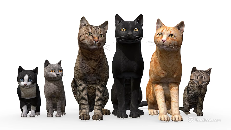 Group Of Various Colored Cats In Different Sizes Standing Arranged Together 3d model 