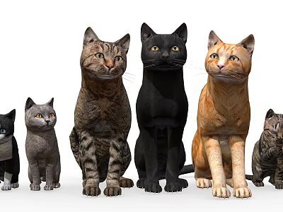 Group Of Various Colored Cats In Different Sizes Standing Arranged Together 3d model