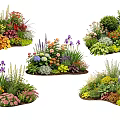 Colorful Diverse Garden Plant Combinations With Flowers Shrubs And Herbs