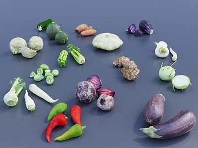 Variety of Fresh Vegetables Including Broccoli Eggplant Peppers Cauliflower on Dark Surface 3d model