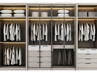 Modern Wardrobe Glass Door Wardrobe 3d model