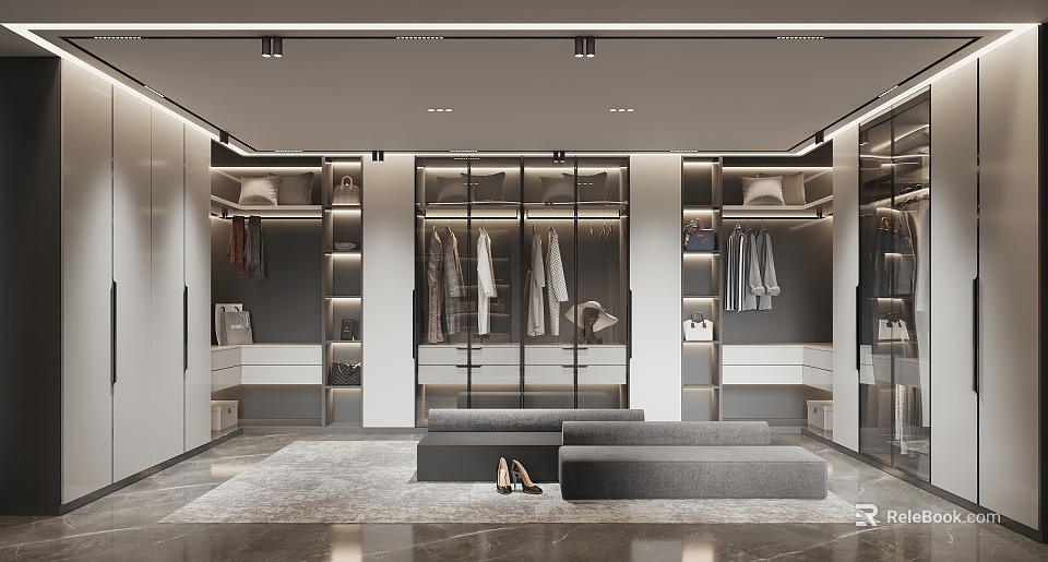 Modern Walk in Closet Interior Design With Glass Door Cabinets Hanging Clothes Sofa And Rug 3d model 