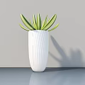Bonsai Plant in White Ribbed Vase with Green Leaves Yellow Edges on Indoor Smooth Gray