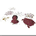Colorful Plant Seeds Spilled From Black Bucket Scattered On White Background