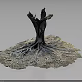 Wooden Stone Root Sculpture Artwork with Intricate Texture and Natural Organic Shape
